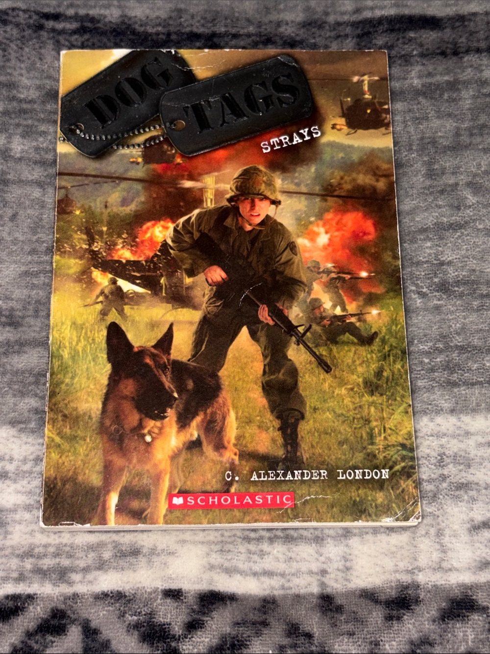 Dog Tag Strays by C. Alexander London